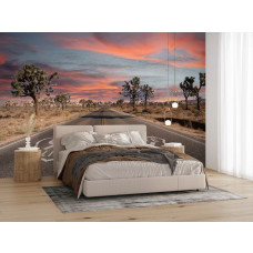 Fotobehang met Route 66 tussen Joshua Trees onder een roze avondlucht in de slaapkamer.