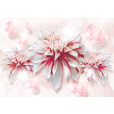 Fotobehang met roze bloemen, perfect voor een lichte en levendige kamer.