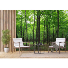 Een fotobehang van een rustgevend bos met bomen in groene tinten in een woonkamer met Airtex en vliesbehang.