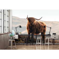 Een fotobehang met een Schotse hooglander en een bizon in een natuurlijke bergomgeving, geschikt voor een huiskamer.