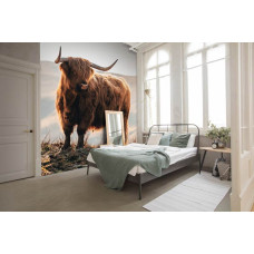 Een fotobehang met een Schotse hooglander en een bizon in een berglandschap, speciaal voor een slaapkamer.