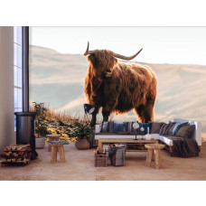 Een fotobehang met een Schotse hooglander en een bizon in een berglandschap, perfect voor een woonkamer.