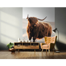 Een fotobehang met een Schotse hooglander in een serene bergomgeving, ideaal voor een woonkamer.