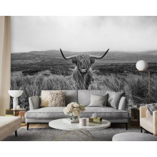Een zwart-wit landschap met een Schotse hooglander en heide voor een woonkamer of huiskamer.