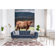 Een fotobehang met een Schotse hooglander in de zon, geschikt voor een woonkamer.