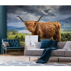 Een fotobehang met een Schotse hooglander in een berglandschap, speciaal ontworpen voor een woonkamer.