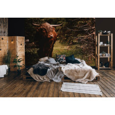 Een fotobehang met een Schotse hooglander in een bos, speciaal voor een slaapkamer.