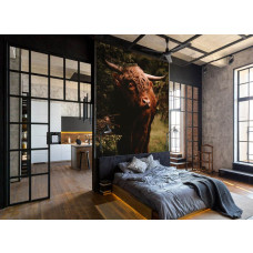Een smal fotobehang met een Schotse hooglander in een bos, perfect voor een slaapkamer.