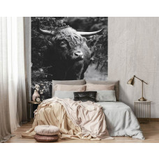 Een zwart-wit fotobehang met een Schotse hooglander in een bos, geschikt voor een keuken.