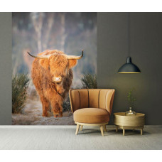 Een fotobehang met een Schotse hooglander op een heide, perfect voor een huiskamer.