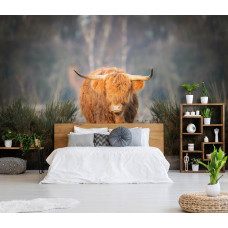 Een fotobehang met een Schotse hooglander op een rustige heide, speciaal voor een slaapkamer.