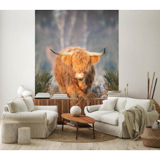 Een smal fotobehang met een Schotse hooglander op een open heide, ideaal voor een woonkamer.