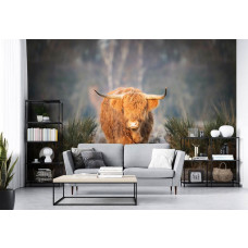 Een fotobehang met een Schotse hooglander op een weidse heide, ideaal voor een woonkamer.
