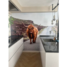 Een fotobehang met een Schotse hooglander op een landelijke weg, speciaal voor een keuken.