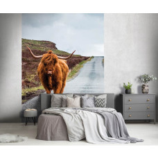 Een smal fotobehang met een Schotse hooglander op een weg in een landelijke setting, geschikt voor een slaapkamer.