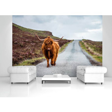 Een fotobehang met een Schotse hooglander op een weg omringd door natuur, perfect voor een woonkamer.