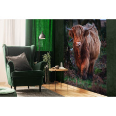 Schotse hooglander tussen de bomen in het bos, natuur fotobehang voor de slaapkamer en woonkamer.