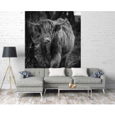 Een zwart-wit fotobehang met een Schotse hooglander tussen de bomen in een bosrijke omgeving, geschikt voor een huiskamer.