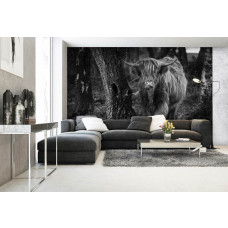 Een zwart-wit fotobehang met een Schotse hooglander tussen de bomen in een natuurlijk bos, perfect voor een woonkamer.
