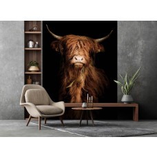 Een fotobehang met een rustieke uitstraling, afgebeeld in een woonkamer.