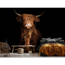 Een fotobehang met een elegante hooglander in zwart-wit, perfect voor een keuken.