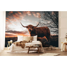 Een fotobehang met een Schotse hooglander op een uitgestrekt landschap met een ondergaande zon in een de slaapkamer.