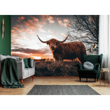 Een fotobehang met een Schotse hooglander op een uitgestrekt landschap met een ondergaande zon in een de woonkamer.