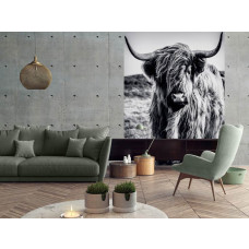 Een fotobehang van een zwart-witte Schotse hooglander met een serene sfeer in een natuurlijke omgeving in de huiskamer.