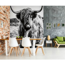 Een fotobehang met een Schotse hooglander in zwart-wit op een heidelandschap bij zonsopkomst in de woonkamer.