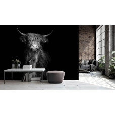 Een fotobehang met een klassiek ontwerp van een Schotse hooglander in zwart-wit voor een slaapkamer.