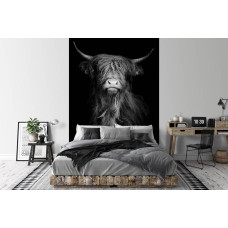 Een fotobehang met een Schotse hooglander in zwart-wit, geschikt voor zowel een woonkamer als een slaapkamer.