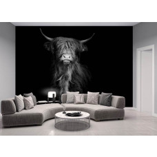 Een fotobehang met een Schotse hooglander in zwart-wit, ideaal voor een stijlvolle woonkamer.
