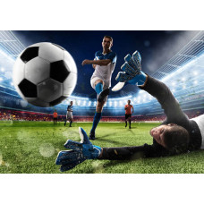 Fotobehang van een voetbal die het doel bereikt in een groot stadion, met alle ogen gericht op het beslissende moment van de wedstrijd.