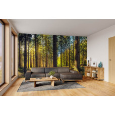 Fotobehang van een sfeervol dennenbos in een moderne woonkamer met natuurlijke uitstraling.