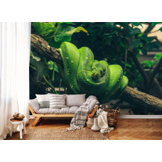 Een fotobehang met een groene slang op een tak, perfect voor een huiskamer.