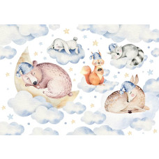 Fotobehang met slapende dieren, schattige illustraties van verschillende diersoorten.