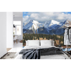 Een fotobehang met hoge sneeuwtoppen boven een groen bos, ideaal voor een slaapkamer.