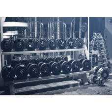 Sportschool fotobehang met gewichten en dumbbells, voor een stoere en motiverende uitstraling in een fitnessruimte.