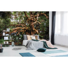 Een fotobehang van een sprookjesachtige boom met een olijfboom voor de slaapkamer.