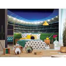 Fotobehang van een voetbalstadion met de Braziliaanse vlag op het veld, ideaal voor een tienerkamer.