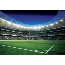 Fotobehang met een stadion en een voetbalveld waar kinderen spelen.