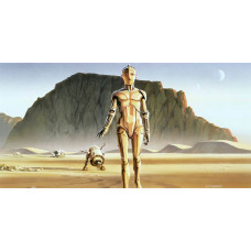 Star Wars droids fotobehang, met de geliefde robots R2-D2 en C-3PO.
