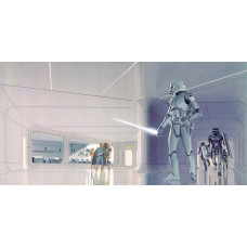 Stormtrooper Hallway fotobehang, met de beruchte soldaten van het rijk.