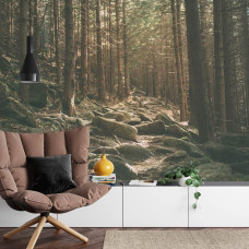 Een fotobehang met een kalm bosbeeld met stenen tussen de bomen, perfect voor een huiskamer.