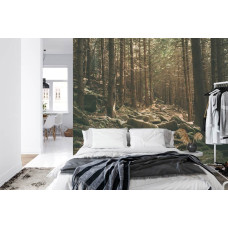 Een fotobehang met een natuurlijk boslandschap met stenen, ideaal voor een slaapkamer.