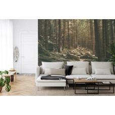 Een fotobehang met een serene bosomgeving met stenen verspreid over de grond, ideaal voor een woonkamer.