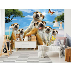 Een fotobehang van vrolijke stokstaartjes in een speelse selfie stijl, perfect voor een kinderkamer.