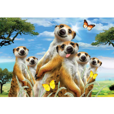 Stokstaartjes en dieren, dolle beestenboel fotobehang met een grappige weergave voor kinderen.