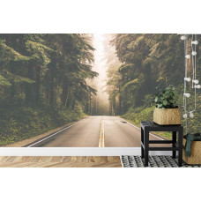 Een fotobehang met een rechte straat in een Amerikaans bos met 3D-effect.