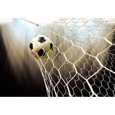 Fotobehang van een voetbal die strak in het net hangt, vastgelegd net na het moment van een perfect doelpunt.
